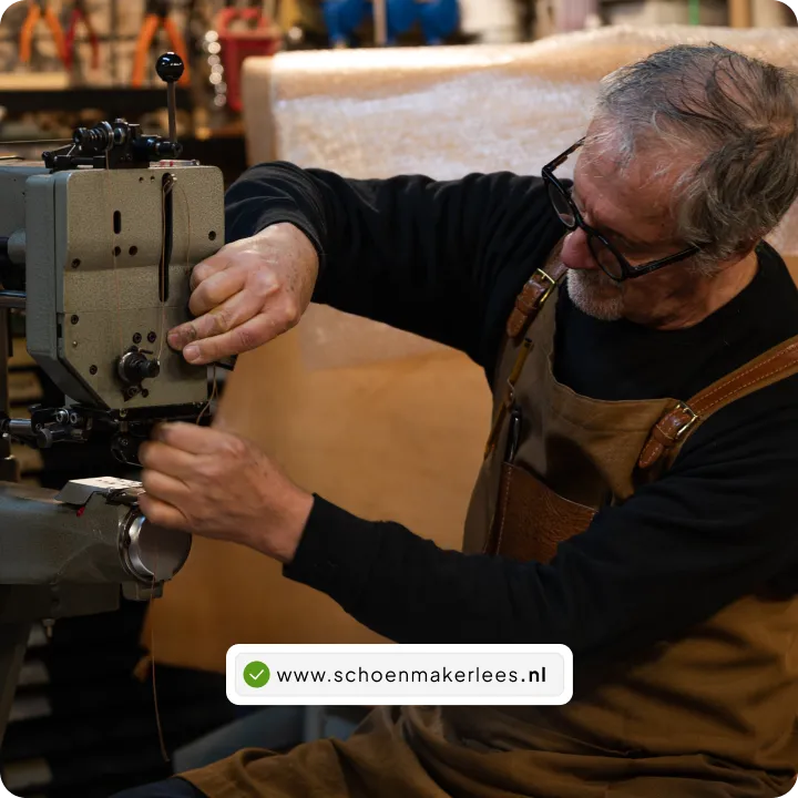 Schoenmaker aan het werk, met een groen vinkje naast zijn domeinnaam.